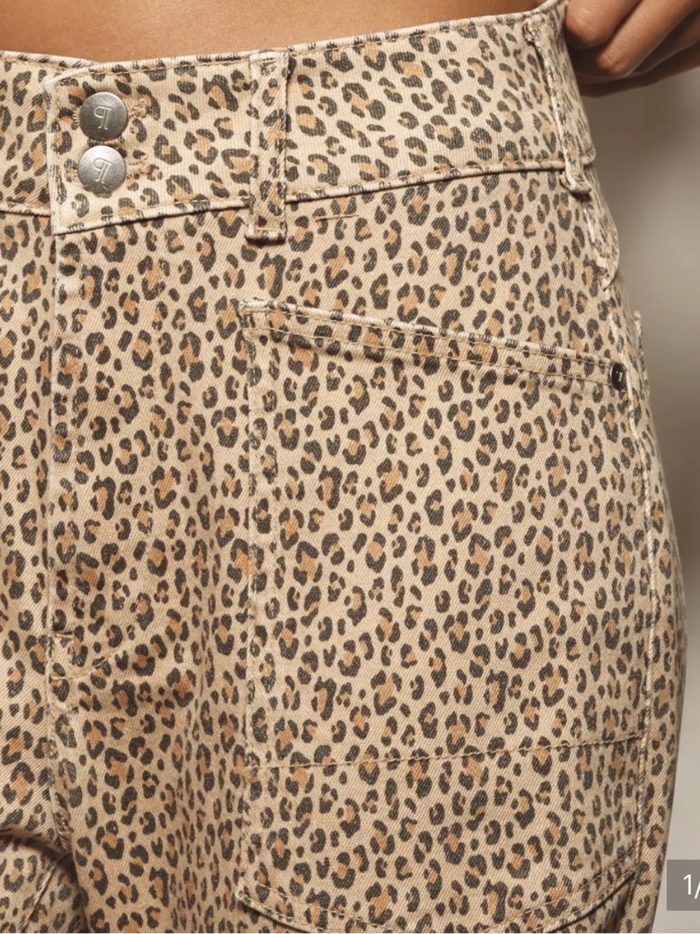 Pilcro Leopard Print High-Rise Pants in Tan and Brown